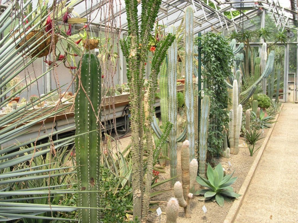 12622521_662914363848946_6999498121035283691_o