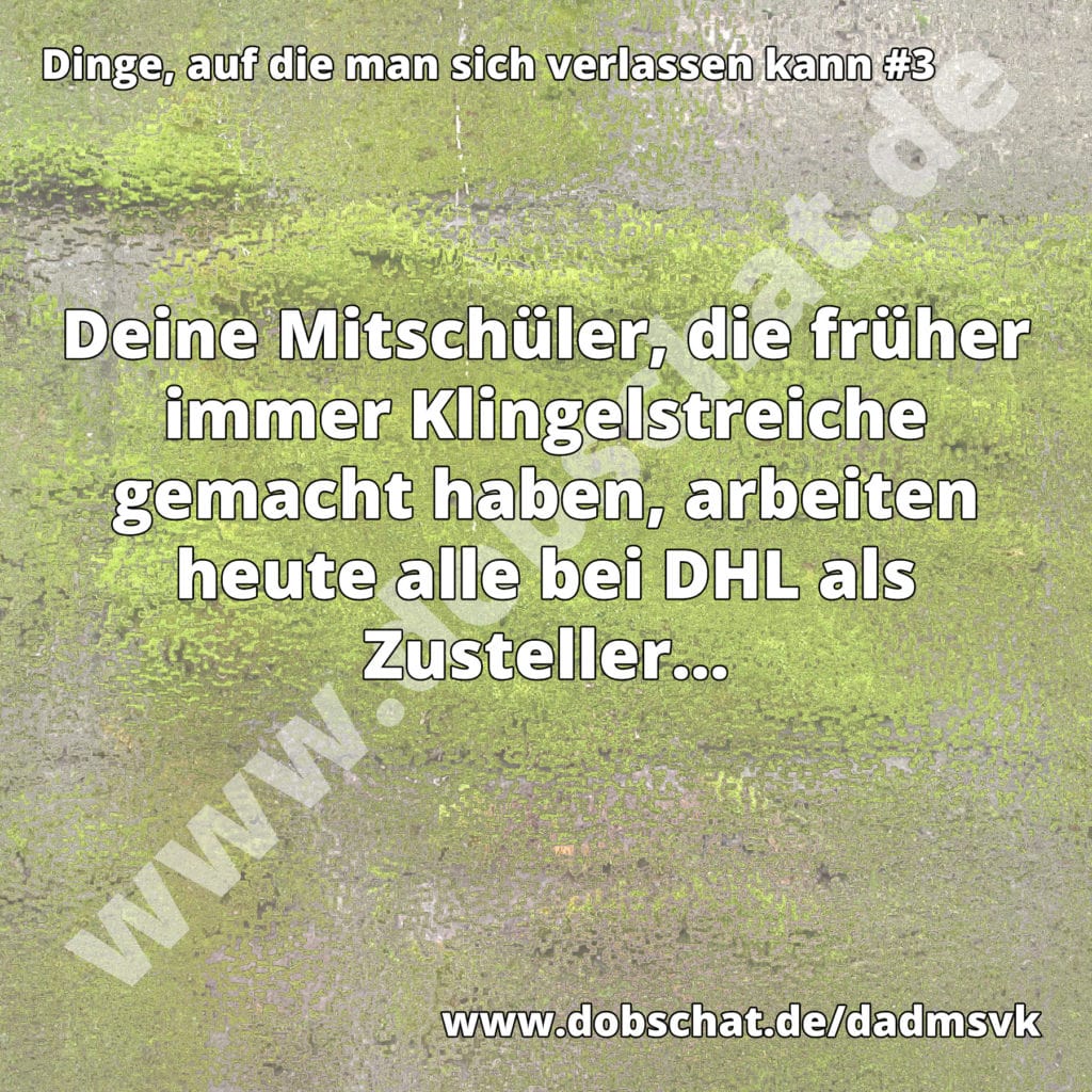 #3 - Mitschüler bei DHL