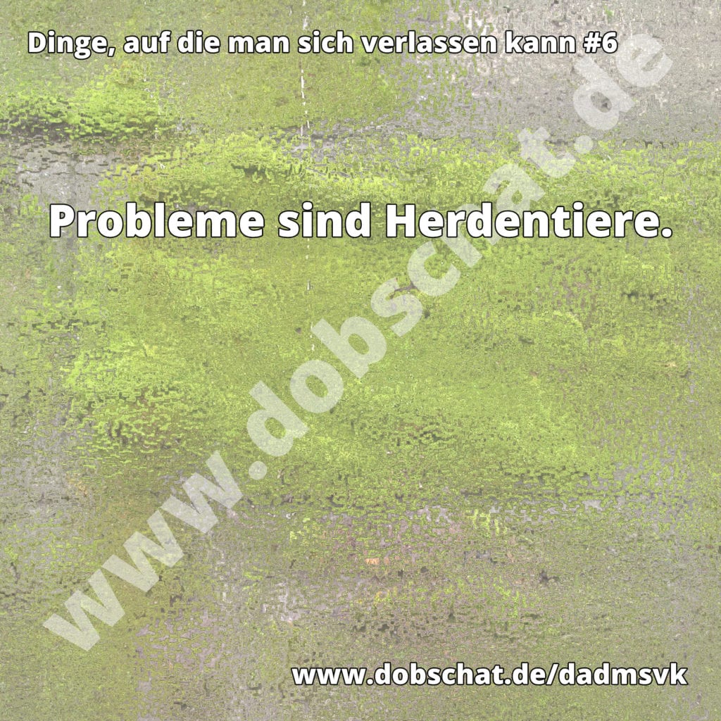 #6 - Probleme sind Herdentiere
